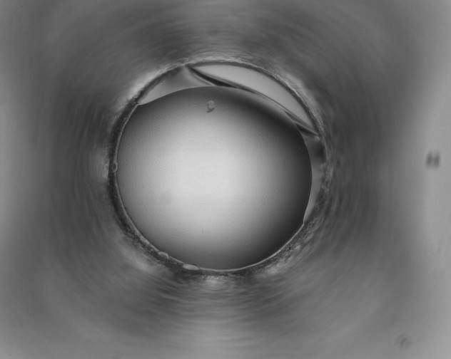 X0000090980060200708161904