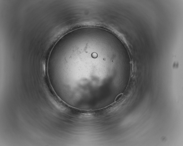 X0000090980061200708161904