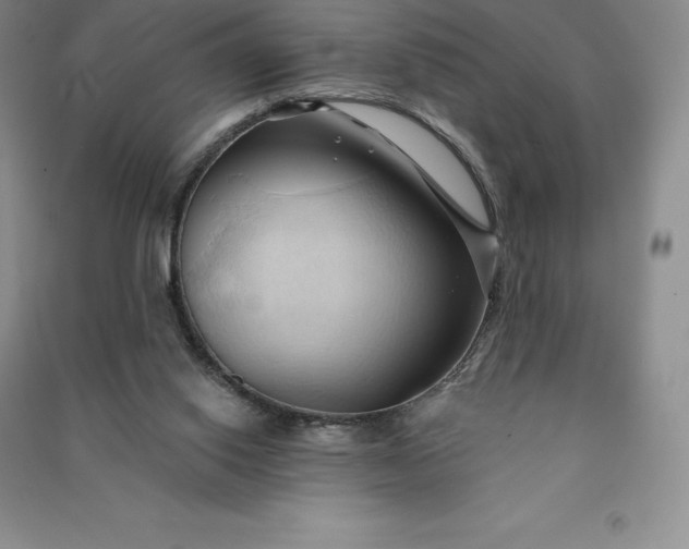 X0000090980062200708161904
