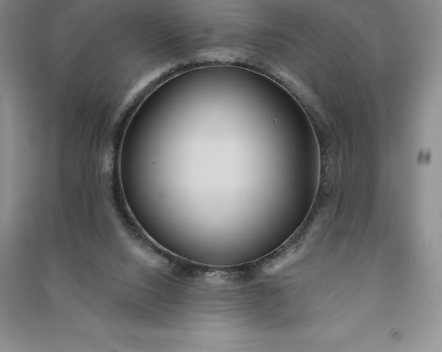 X0000090980064200708161904