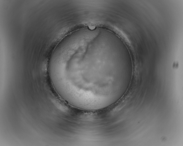 X0000090980065200708161904