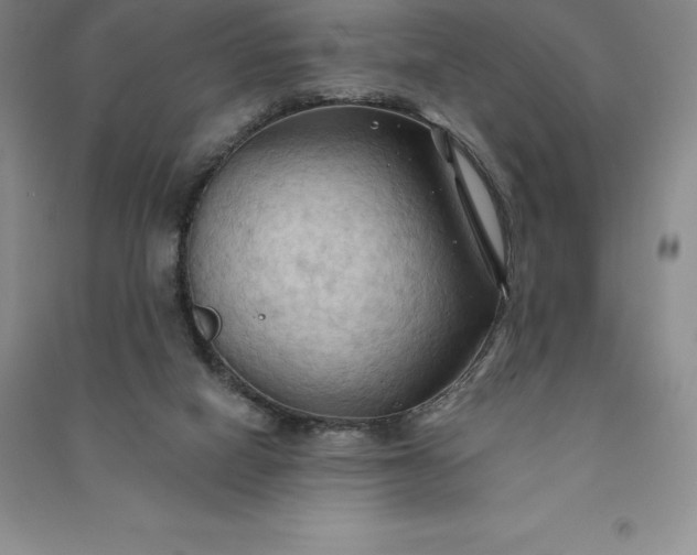 X0000090980066200708161904