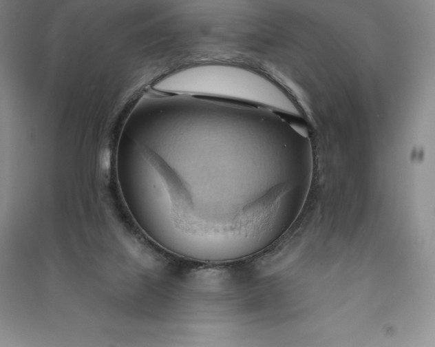 X0000090980067200708161904