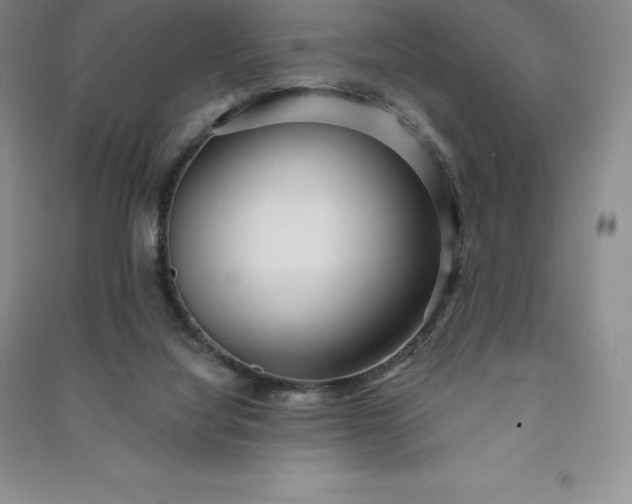 X0000090980068200708161904