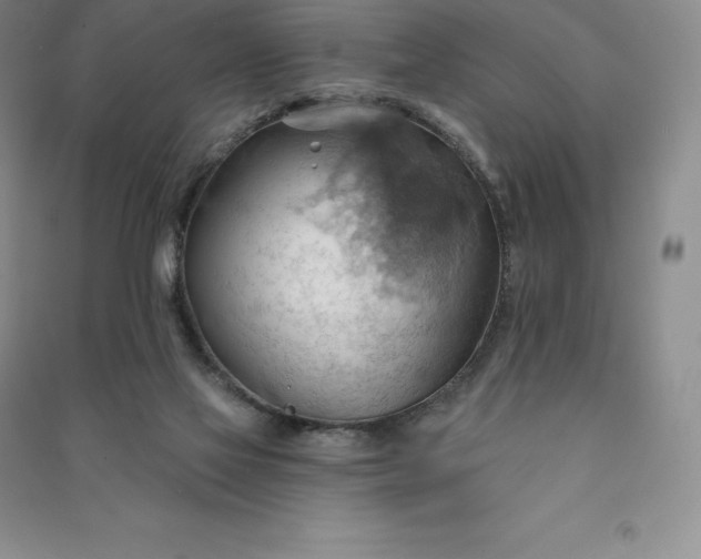 X0000090980069200708161904