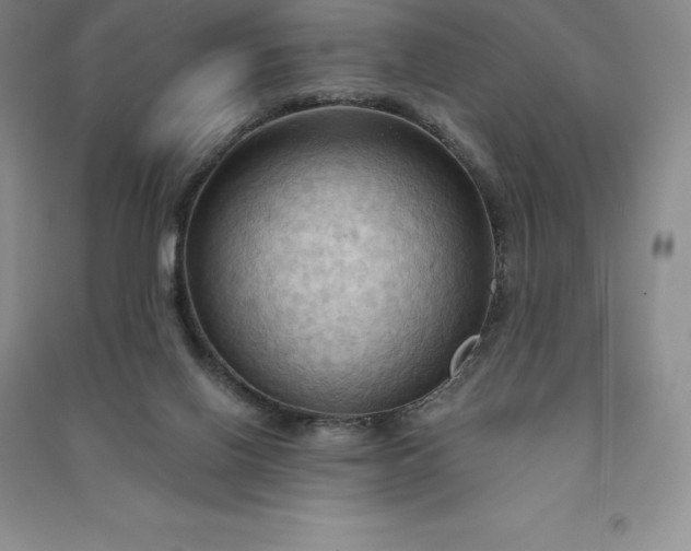 X0000090980070200708161904