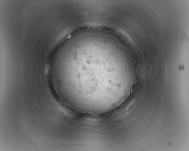 X0000090980071200708161904