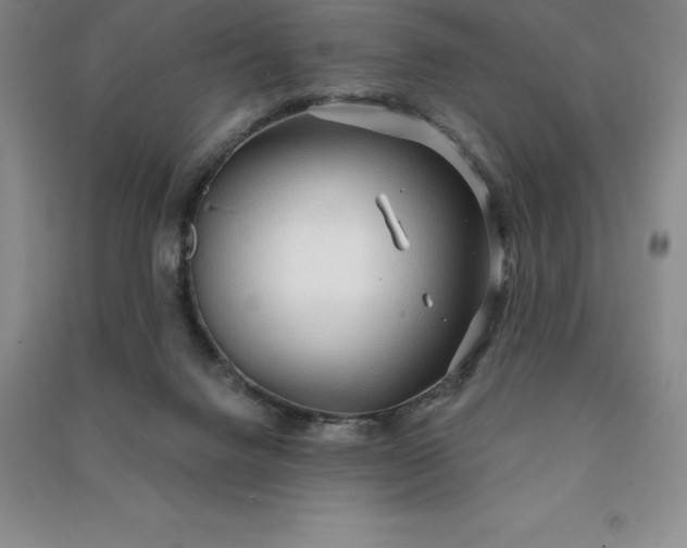 X0000090980072200708161904