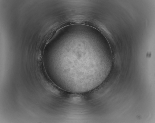 X0000090980073200708161904