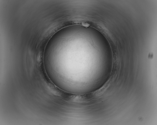 X0000090980074200708161904