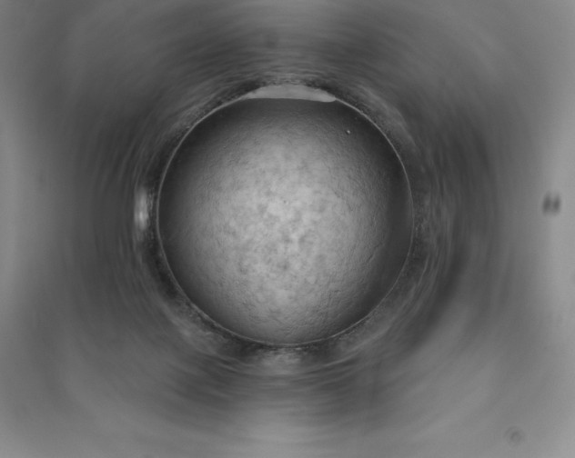 X0000090980075200708161904