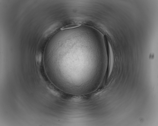 X0000090980076200708161904