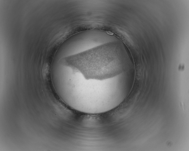 X0000090980077200708161904