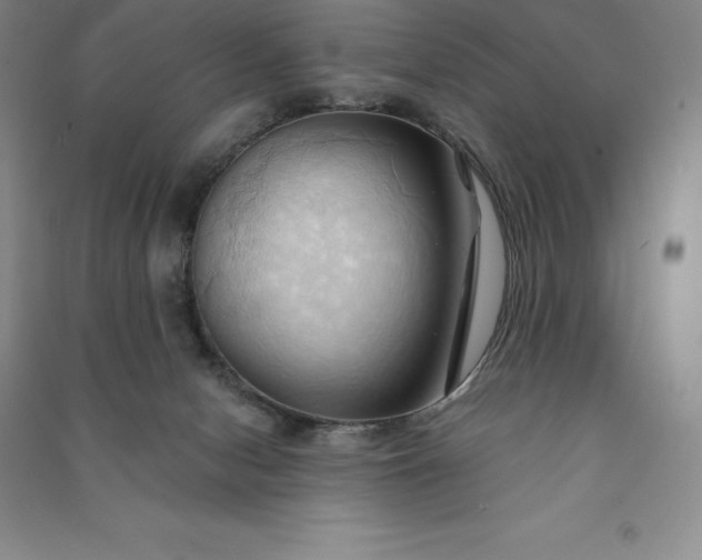 X0000090980078200708161904