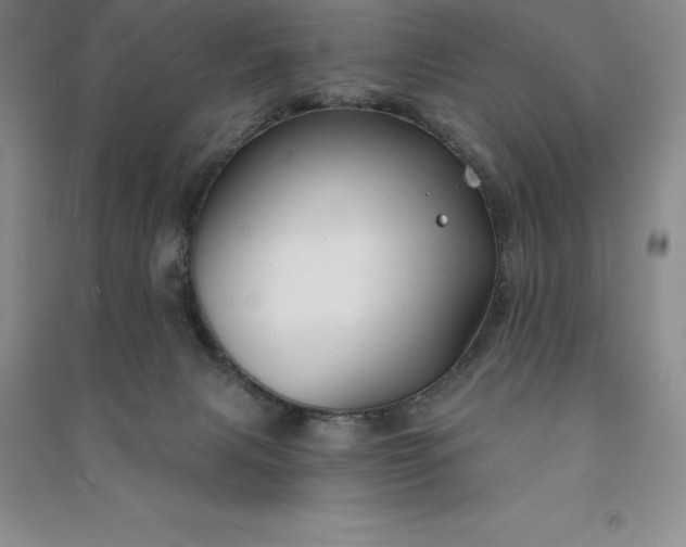 X0000090980079200708161905