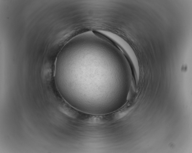X0000090980080200708161905