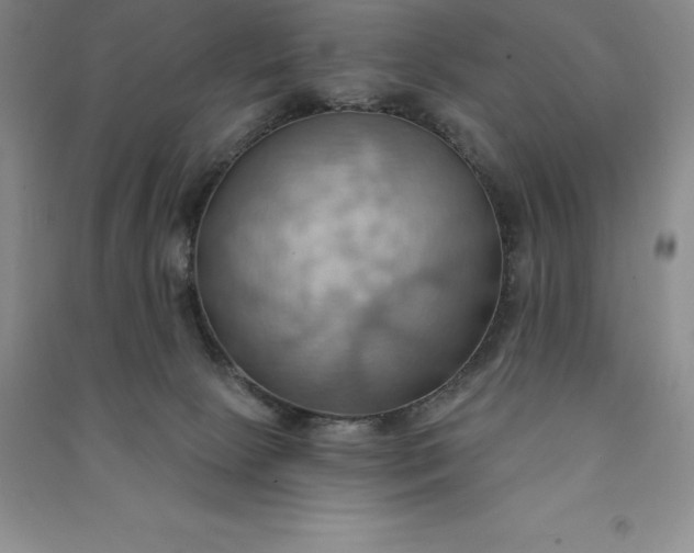 X0000090980081200708161905