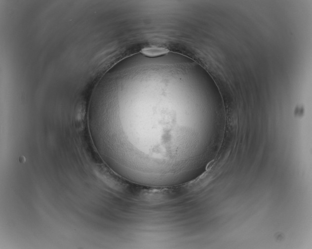 X0000090980082200708161905