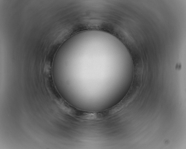 X0000090980083200708161905