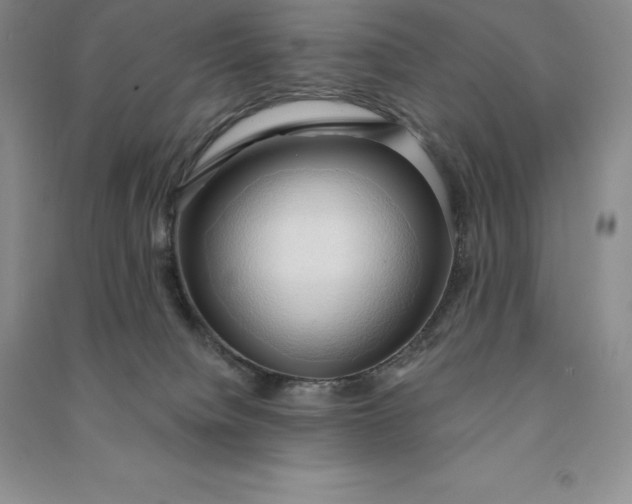 X0000090980084200708161905