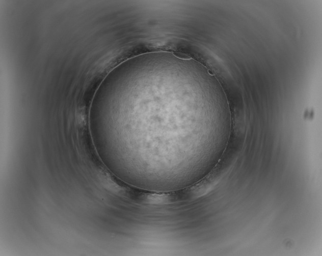 X0000090980085200708161905