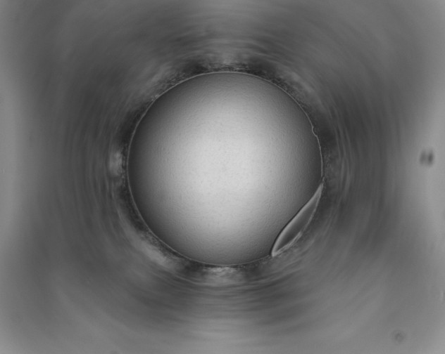 X0000090980087200708161905