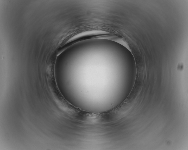 X0000090980088200708161905
