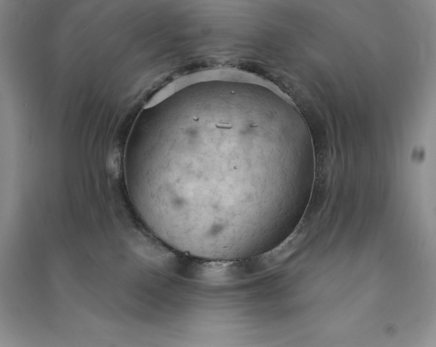 X0000090980090200708161905