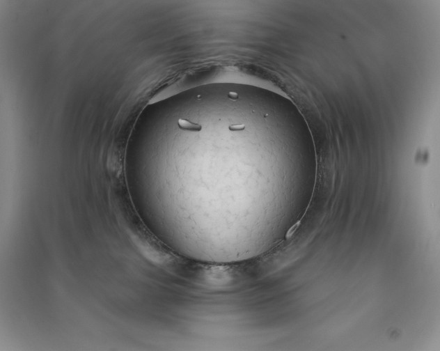 X0000090980091200708161905