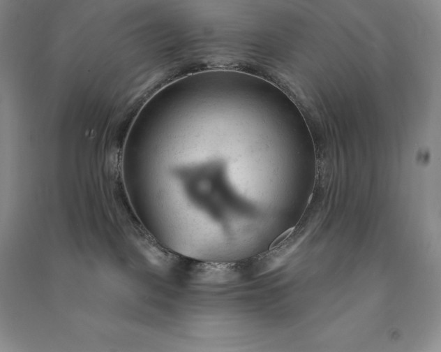 X0000090980093200708161905