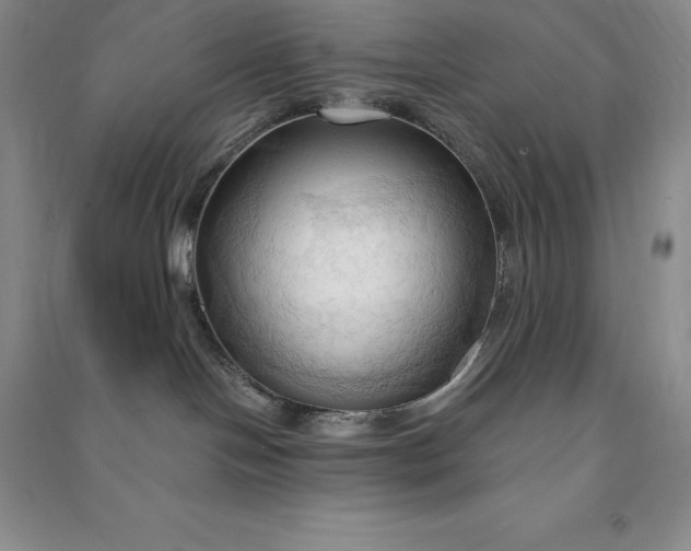 X0000090980094200708161905