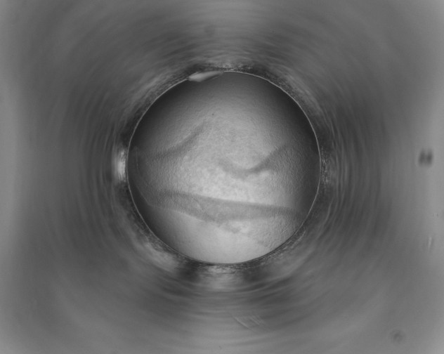 X0000090980095200708161905