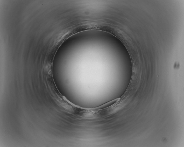 X0000090980096200708161905