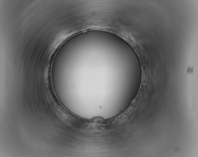X0000090980098200708161904