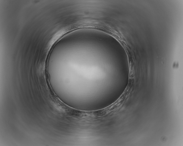 X0000090980099200708161904
