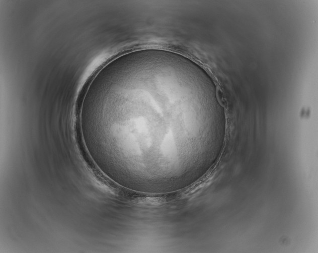 X0000090980102200708161904