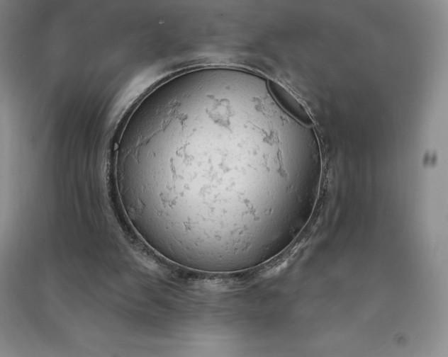X0000090980103200708161904