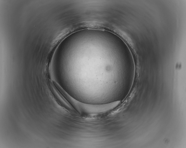 X0000090980105200708161904