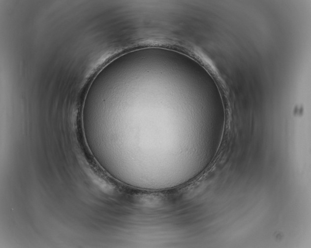 X0000090980106200708161904