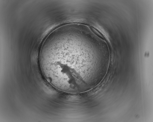 X0000090980107200708161904
