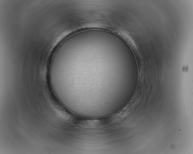 X0000090980108200708161904