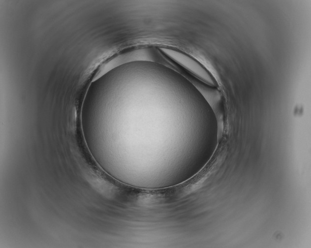 X0000090980109200708161904