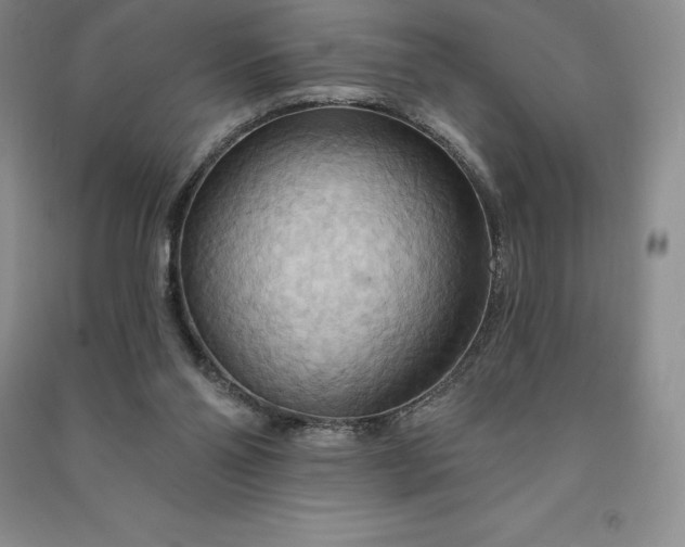 X0000090980110200708161904