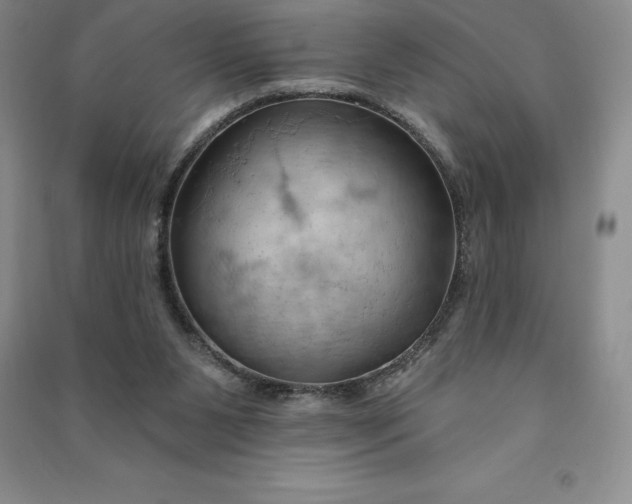 X0000090980111200708161904