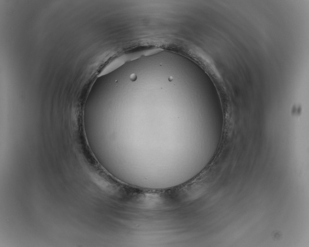 X0000090980114200708161904