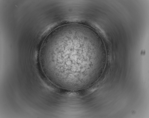 X0000090980115200708161904