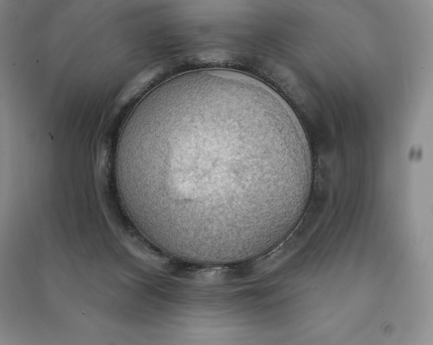X0000090980116200708161904