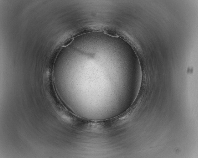 X0000090980117200708161904