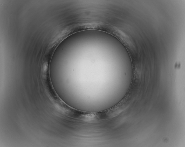 X0000090980118200708161904