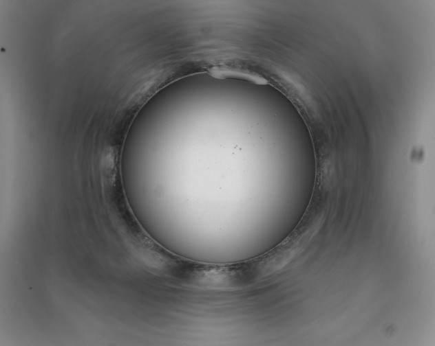 X0000090980121200708161904